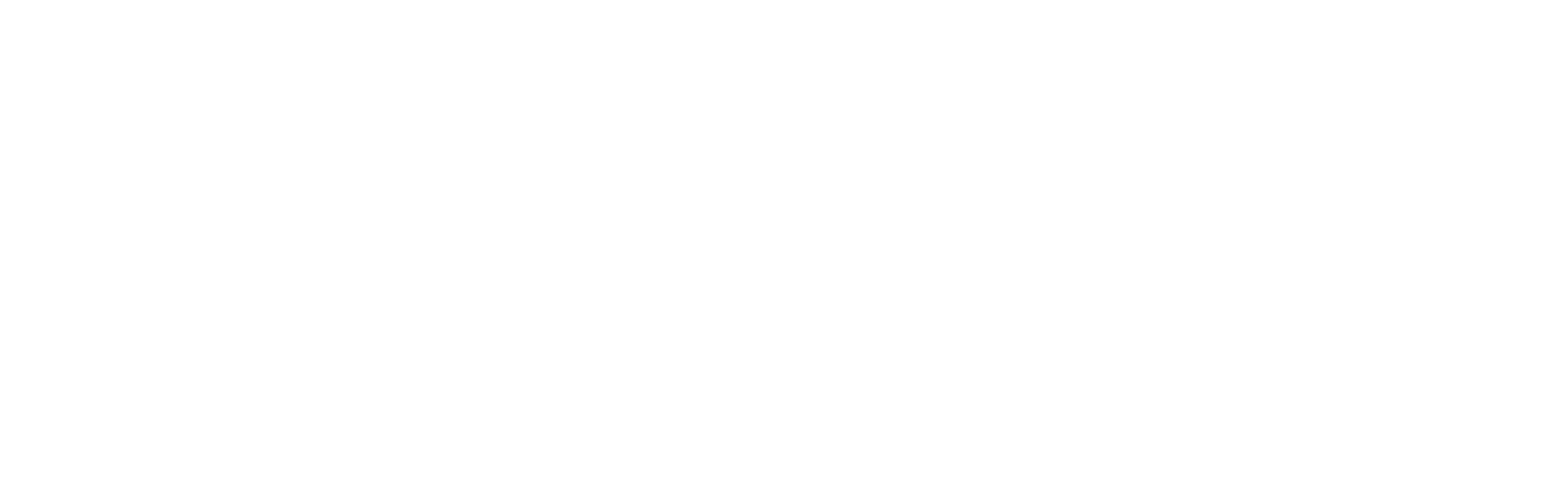 Bräuer Optik und Akustik